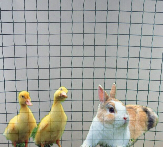 漢川人工養鴨防跑