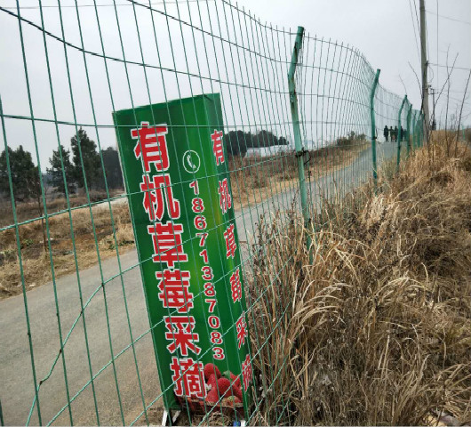 <font color='#FF0000'>紅安草莓園基地圍</font>